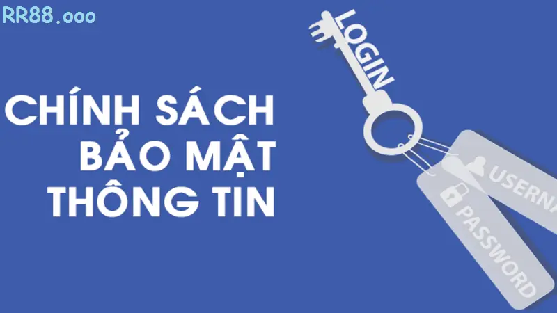 Quyền lợi và trách nhiệm của người dùng tại nhà cái RR88