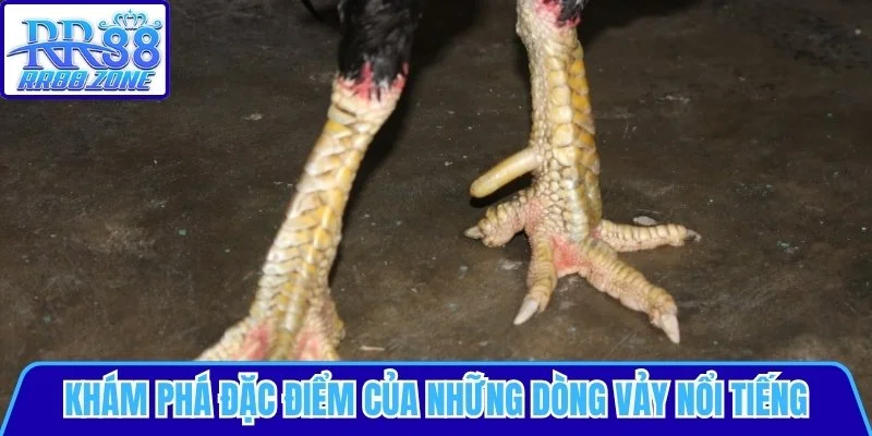 Khám phá đặc điểm của những dòng vảy